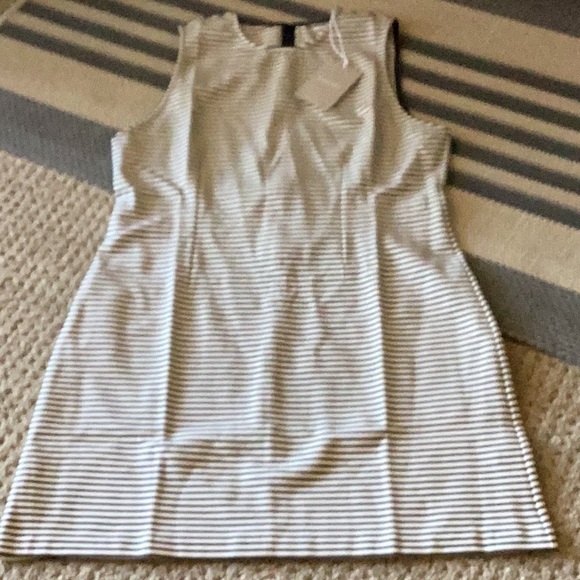 Everlane Dream Shift Sleeveless Dress Black and White Stripes - Picture 4 of 7